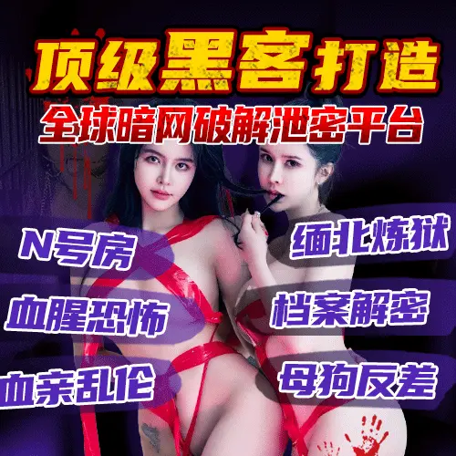 91暗网